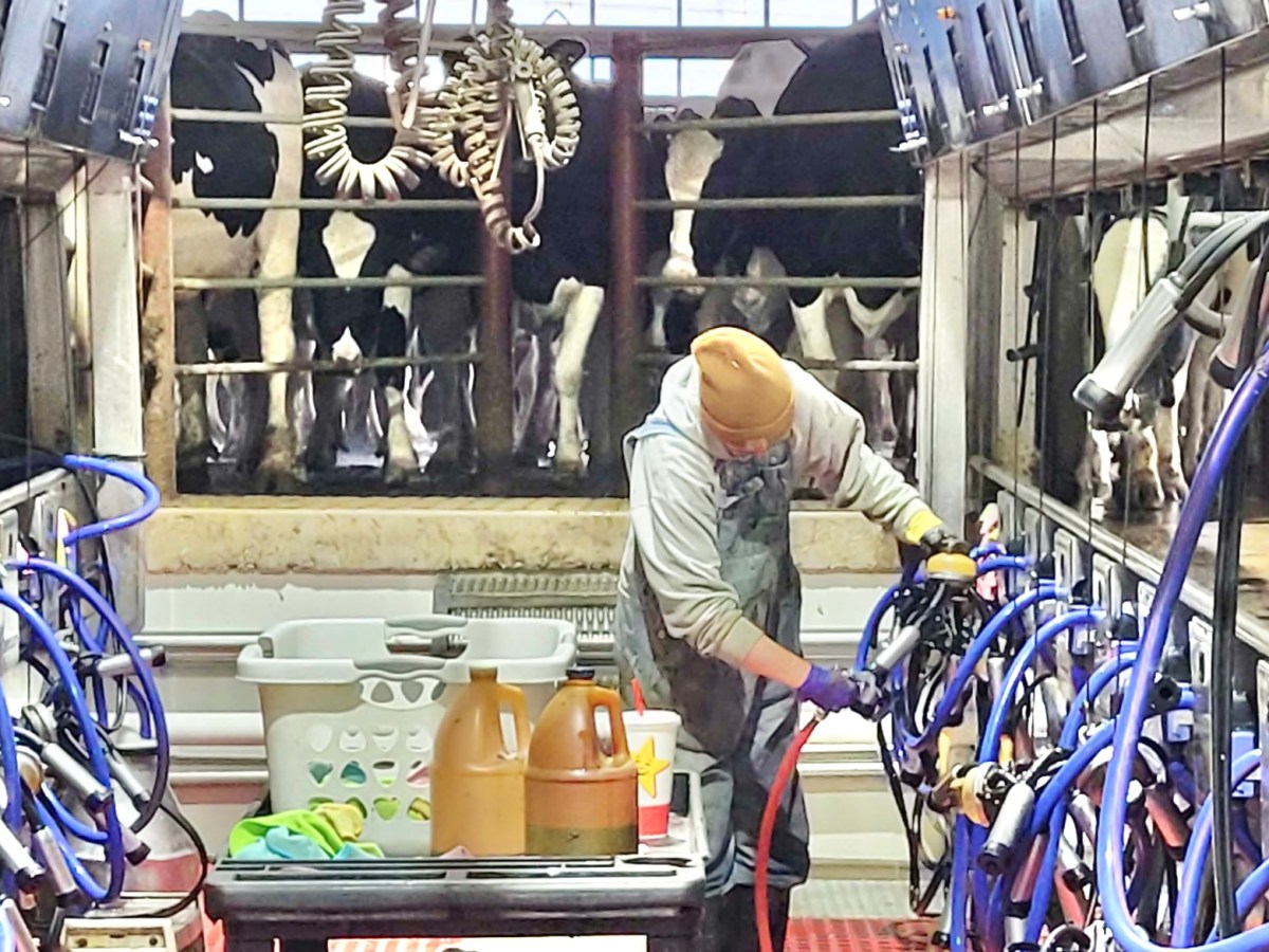 Supreme Court upholds $4.75 million verdict for dairy affected by ‘stray voltage’