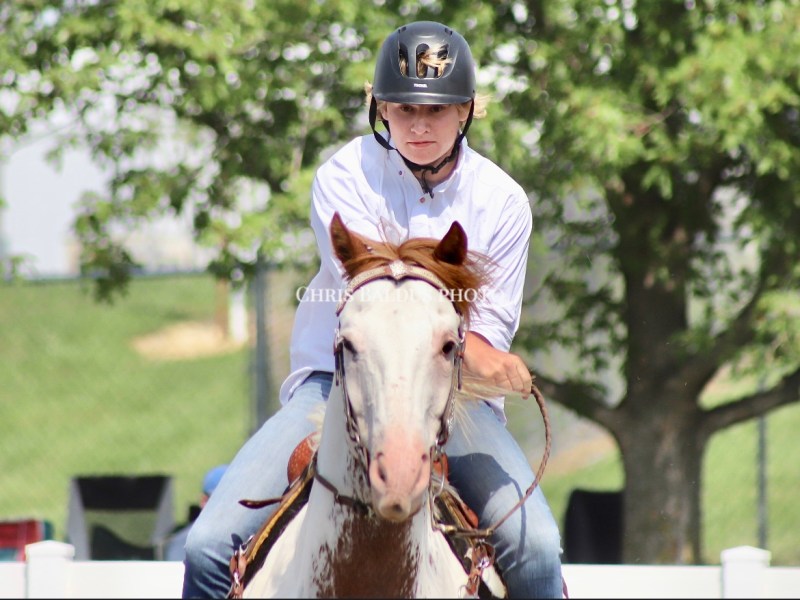 PHOTOS: Horse competition at the Floyd County Fair